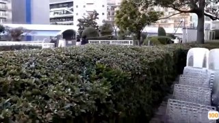 日本av 下载,成人视频高清免费观看